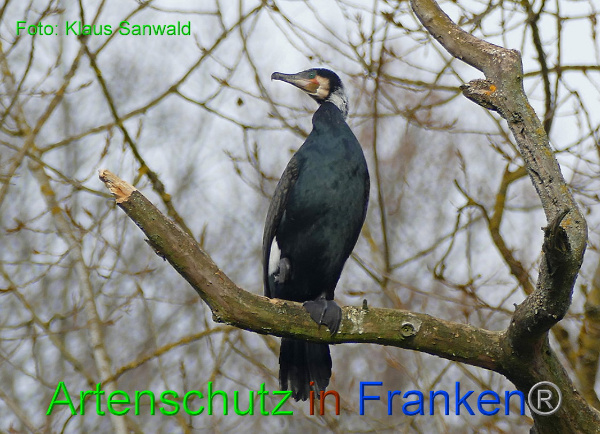 Copyright AiF - Klaus Sanwald Bild zum Eintrag (90167-160)