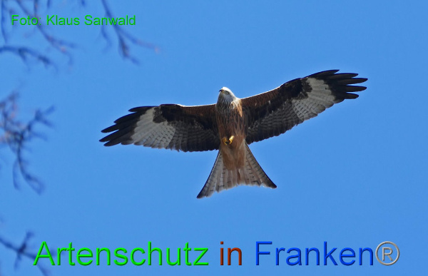 Copyright AiF - Klaus Sanwald Bild zum Eintrag (90169-160)