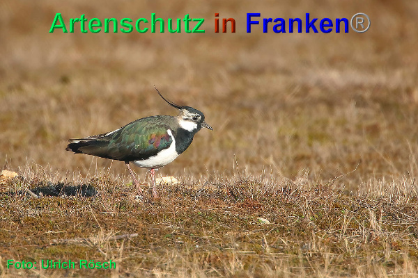 Copyright AiF - Ulrich Rösch Bild zum Eintrag (90327-160)