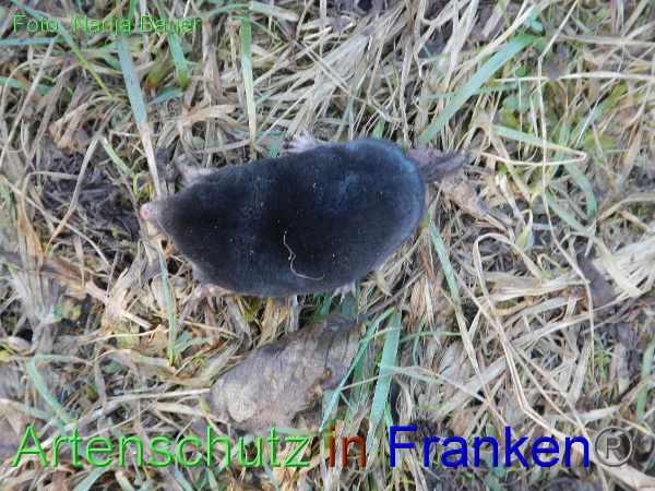 Copyright AiF Nadja Bauer Bild zum Eintrag (90394-160)