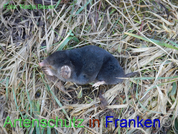 Copyright AiF Nadja Bauer Bild zum Eintrag (90395-160)