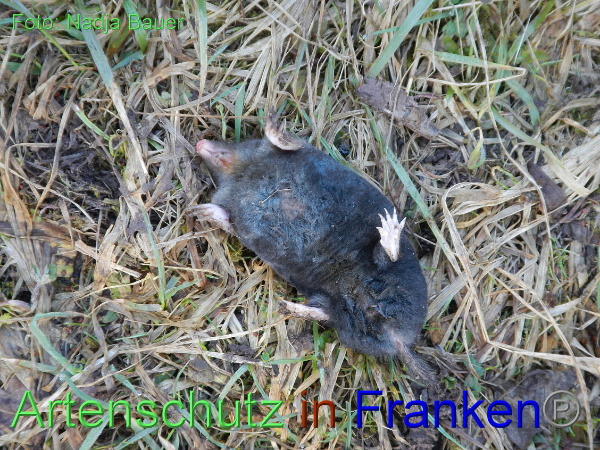 Copyright AiF Nadja Bauer Bild zum Eintrag (90396-160)