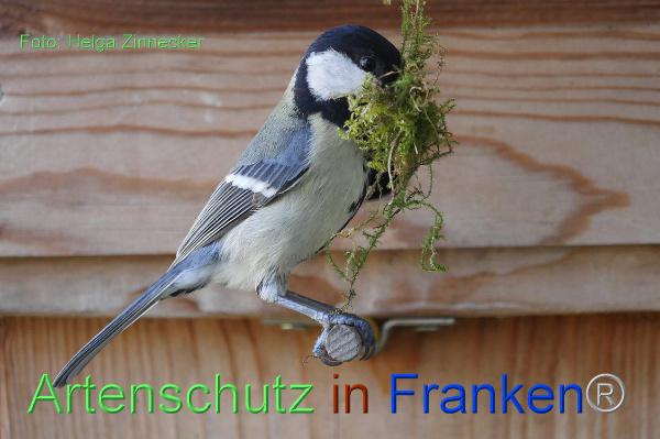 Copyright AiF - Helga Zinnecker Bild zum Eintrag (90656-160)