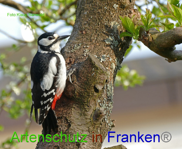 Copyright AiF - Klaus Sanwald Bild zum Eintrag (90819-160)