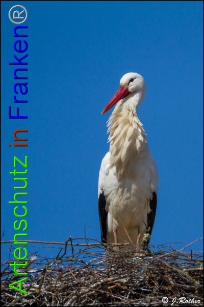 Copyright AiF Johannes Rother Bild zum Eintrag (90823-160)