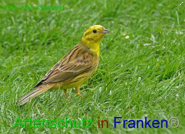 Bild zum Eintrag (90949-160)