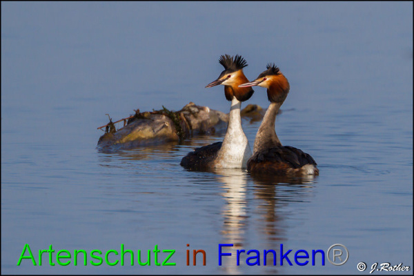 Copyright AiF Johannes Rother Bild zum Eintrag (91454-160)