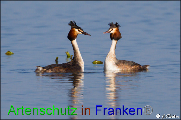Copyright AiF Johannes Rother Bild zum Eintrag (91455-160)