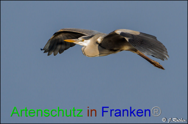 Copyright AiF Johannes Rother Bild zum Eintrag (91459-160)
