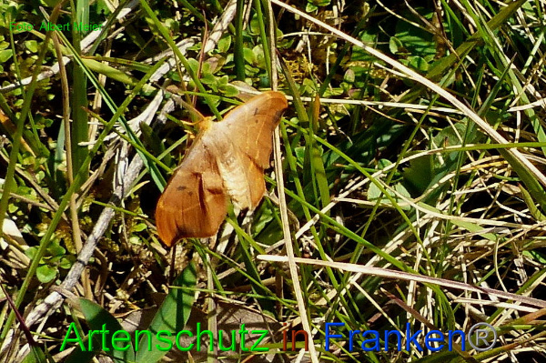 Copyright AiF - Albert Meier Bild zum Eintrag (91467-160)