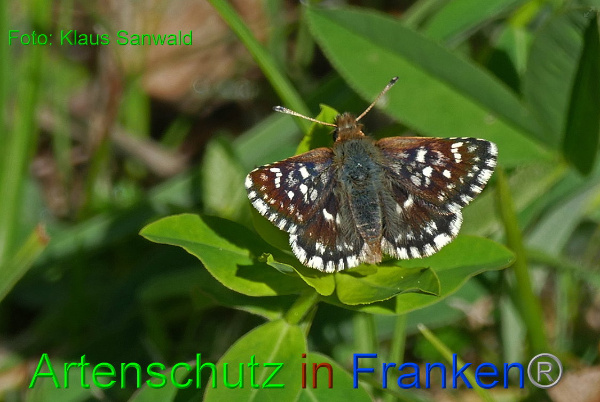 Bild zum Eintrag (91524-160)