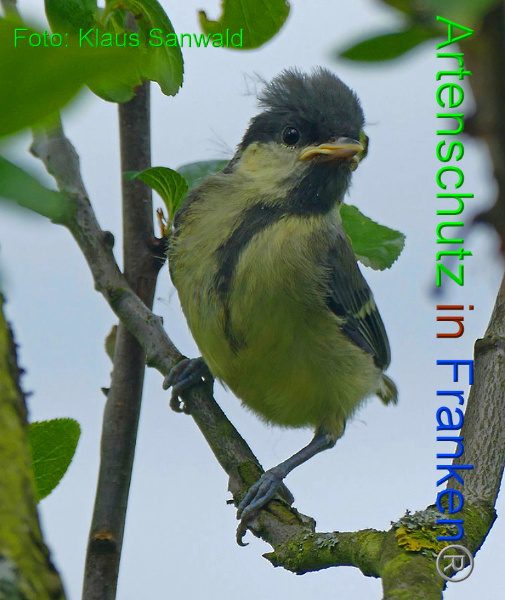Copyright AiF - Klaus Sanwald Bild zum Eintrag (91542-160)