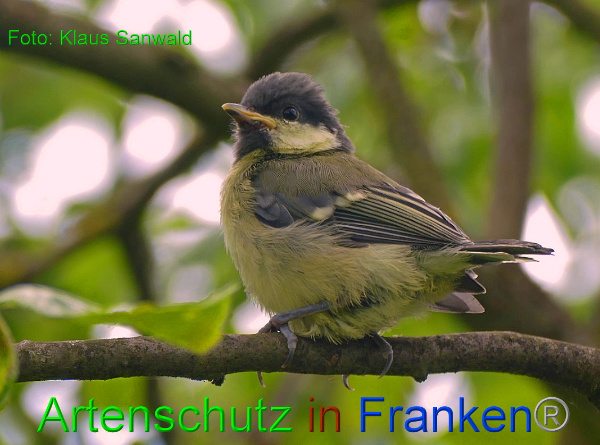 Copyright AiF - Klaus Sanwald Bild zum Eintrag (91543-160)