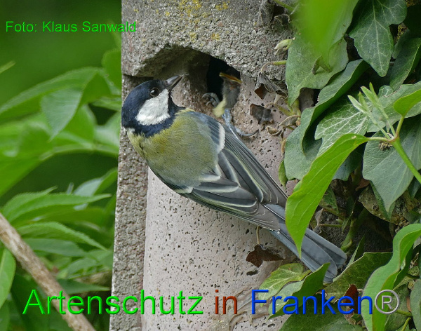 Copyright AiF - Klaus Sanwald Bild zum Eintrag (91544-160)