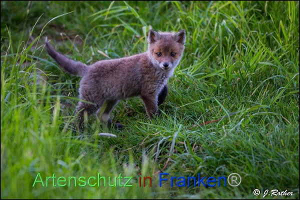 Copyright AiF Johannes Rother Bild zum Eintrag (91813-160)