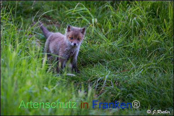 Copyright AiF Johannes Rother Bild zum Eintrag (91814-160)