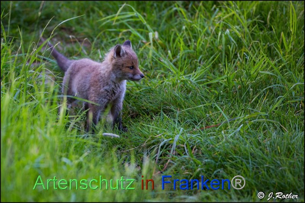 Copyright AiF Johannes Rother Bild zum Eintrag (91815-160)