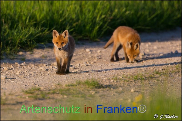 Copyright AiF Johannes Rother Bild zum Eintrag (91818-160)