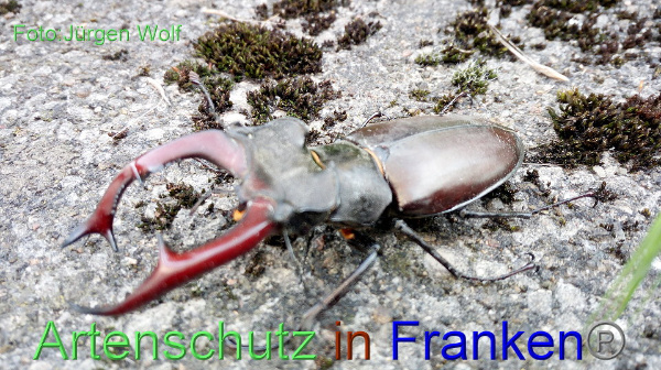Copyright AiF Jürgen Wolf Bild zum Eintrag (91902-160)
