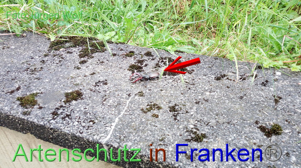 Copyright AiF Jürgen Wolf Bild zum Eintrag (91903-160)