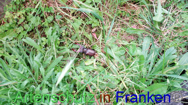 Copyright AiF Jürgen Wolf Bild zum Eintrag (91904-160)