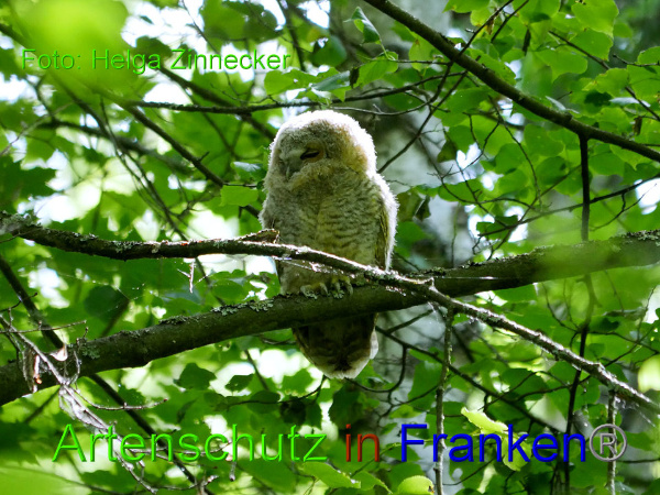 Copyright AiF - Helga Zinnecker Bild zum Eintrag (91965-160)