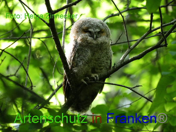 Copyright AiF - Helga Zinnecker Bild zum Eintrag (91966-160)