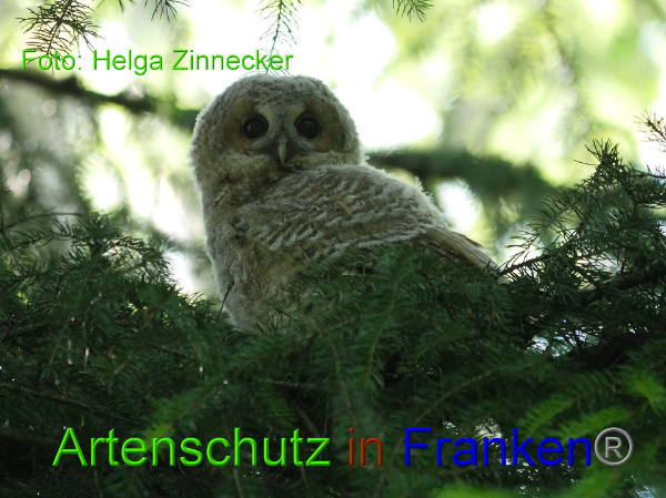 Copyright AiF - Helga Zinnecker Bild zum Eintrag (91968-160)