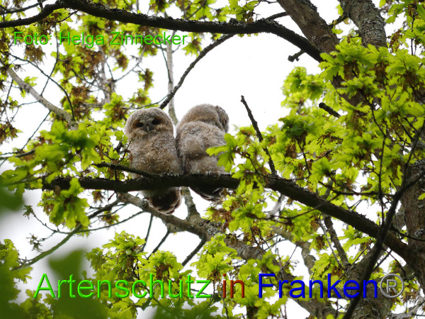 Copyright AiF - Helga Zinnecker Bild zum Eintrag (91969-160)