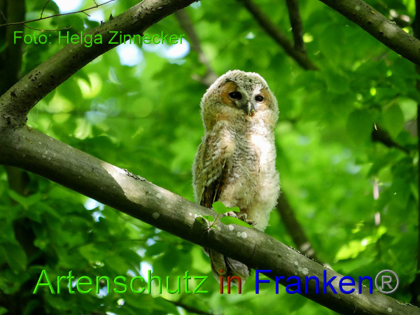 Copyright AiF - Helga Zinnecker Bild zum Eintrag (91970-160)