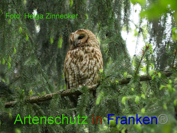 Copyright AiF - Helga Zinnecker Bild zum Eintrag (91975-160)