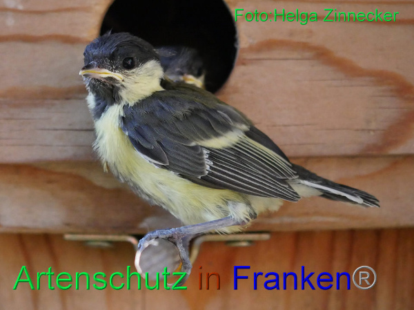 Copyright AiF - Helga Zinnecker Bild zum Eintrag (92114-160)