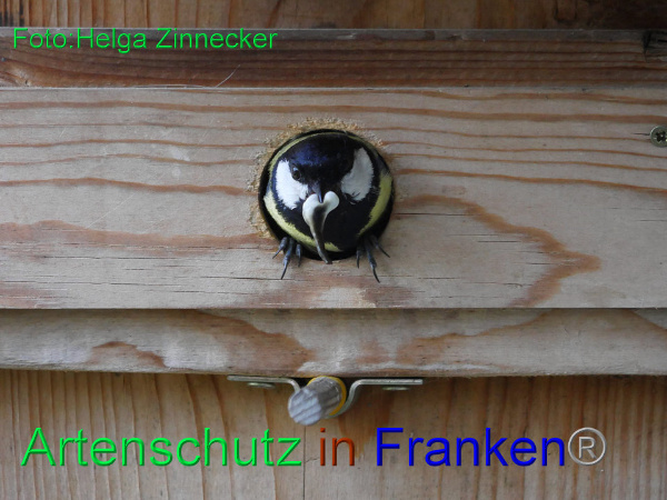 Copyright AiF - Helga Zinnecker Bild zum Eintrag (92115-160)