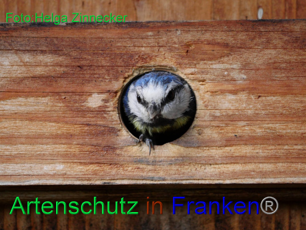 Copyright AiF - Helga Zinnecker Bild zum Eintrag (92117-160)