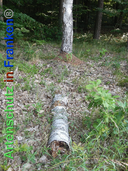 Copyright AiF Zenkel Bild zum Eintrag (92688-160)