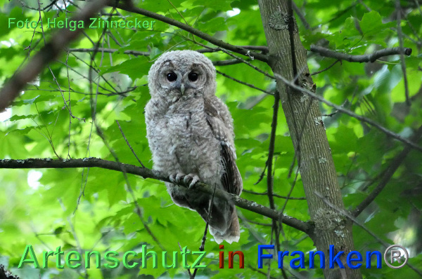 Copyright AiF - Helga Zinnecker Bild zum Eintrag (92697-160)