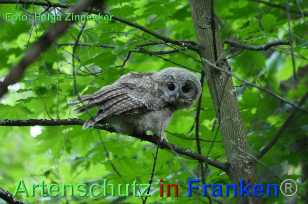 Copyright AiF - Helga Zinnecker Bild zum Eintrag (92699-160)