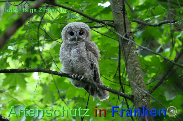 Copyright AiF - Helga Zinnecker Bild zum Eintrag (92700-160)