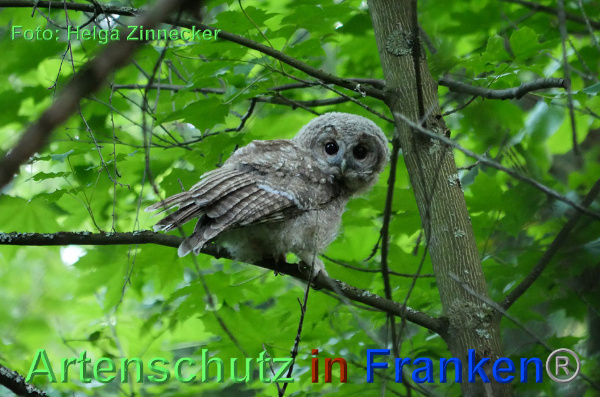 Copyright AiF - Helga Zinnecker Bild zum Eintrag (92702-160)