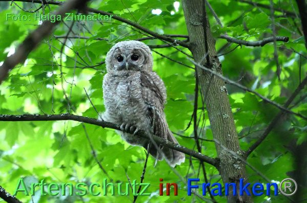 Copyright AiF - Helga Zinnecker Bild zum Eintrag (92703-160)