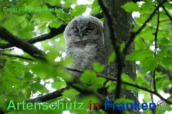Copyright AiF - Helga Zinnecker Bild zum Eintrag (92707-160)