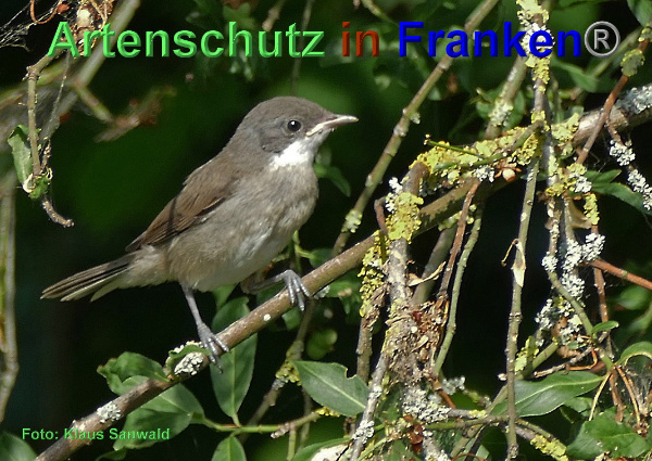 Copyright AiF - Klaus Sanwald Bild zum Eintrag (93699-160)