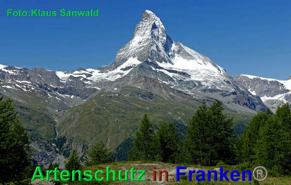 Copyright AiF klaus sanwald Bild zum Eintrag (93906-160)