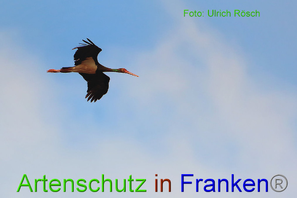 Copyright AiF - Ulrich Rösch Bild zum Eintrag (94384-160)