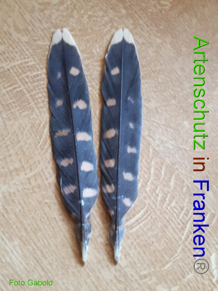 Copyright AiF / Gabold Bild zum Eintrag (94513-160)