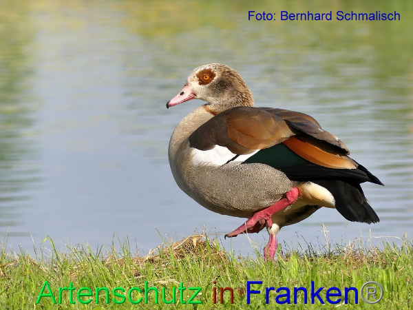 Copyright AiF / Bernhard Schmalisch Bild zum Eintrag (94894-160)