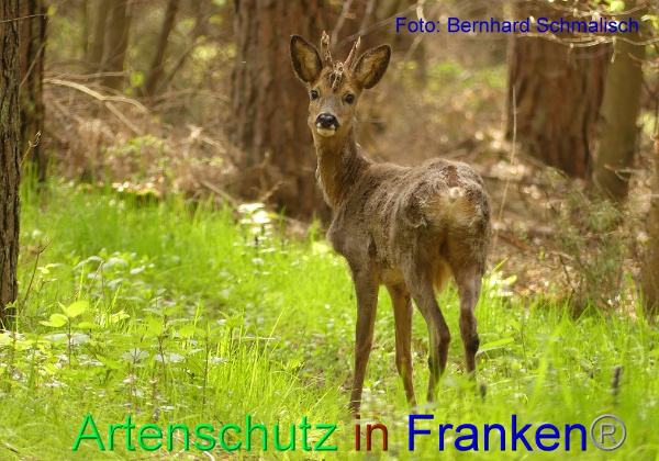 Copyright AiF / Bernhard Schmalisch Bild zum Eintrag (94897-160)