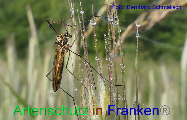 Copyright AiF / Bernhard Schmalisch Bild zum Eintrag (94901-160)