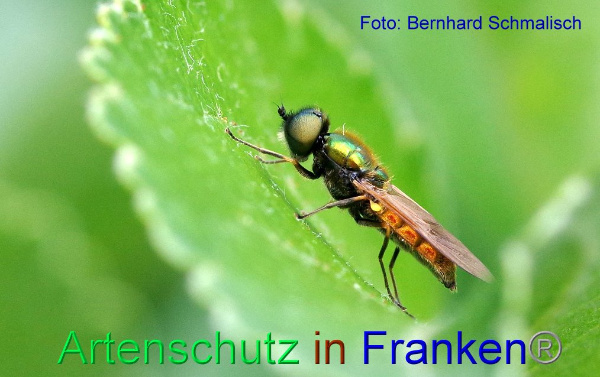 Copyright AiF / Bernhard Schmalisch Bild zum Eintrag (94910-160)
