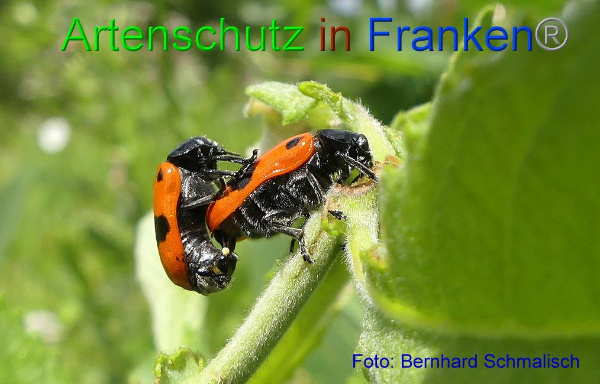 Copyright AiF / Bernhard Schmalisch Bild zum Eintrag (95090-160)